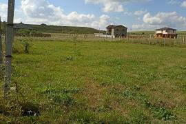 Участок в Приятном свидании