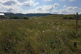 Участок в селе Приятное свидание
