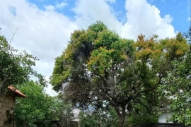 Продам зем. участок. Каменка